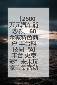 2500万元汽车消费券、60余家特色商户 丰台科技园“AI丰台 更京彩”未来玩家市集活动正式开幕