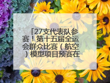 27支代表队参赛!第十五届全运会群众比赛(航空)模型项目预赛在北川开赛