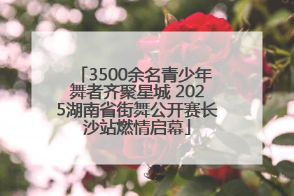 3500余名青少年舞者齐聚星城 2025湖南省街舞公开赛长沙站燃情启幕