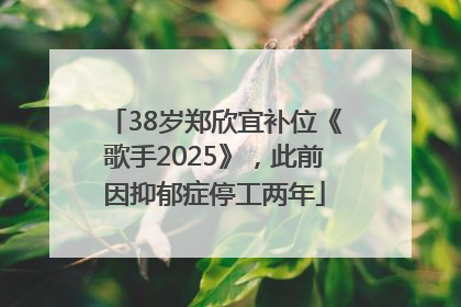 38岁郑欣宜补位《歌手2025》，此前因抑郁症停工两年