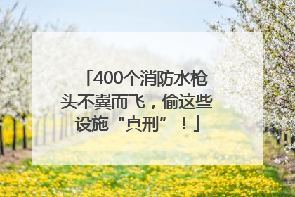 400个消防水枪头不翼而飞，偷这些设施“真刑”！