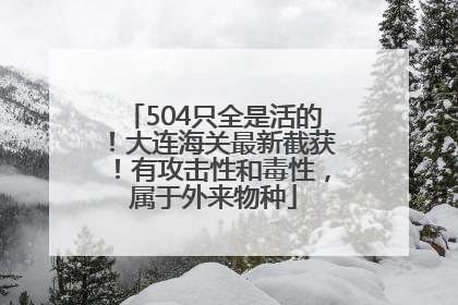 504只全是活的！大连海关最新截获！有攻击性和毒性，属于外来物种