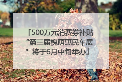 500万元消费券补贴 “第三届槐荫惠民车展”将于6月中旬举办