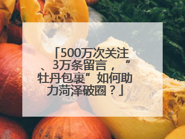 500万次关注、3万条留言，“牡丹包裹”如何助力菏泽破圈？
