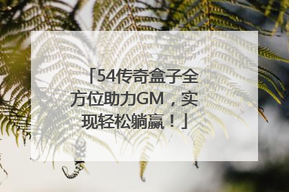 54传奇盒子全方位助力GM，实现轻松躺赢！