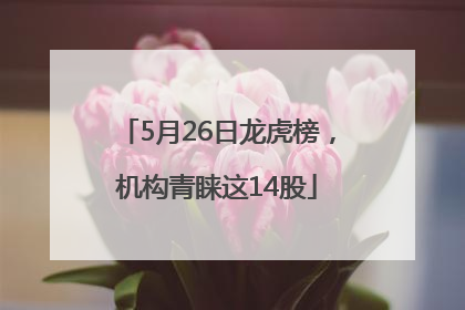 5月26日龙虎榜，机构青睐这14股
