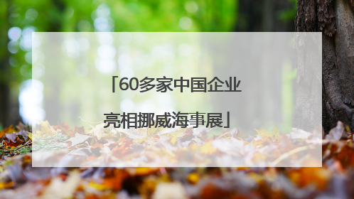 60多家中国企业亮相挪威海事展