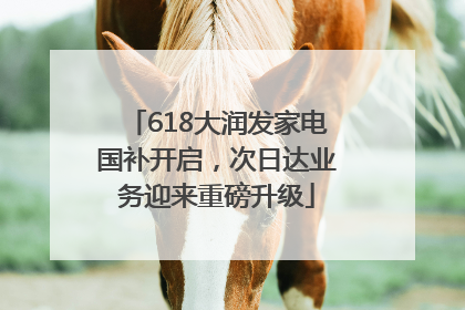 618大润发家电国补开启，次日达业务迎来重磅升级