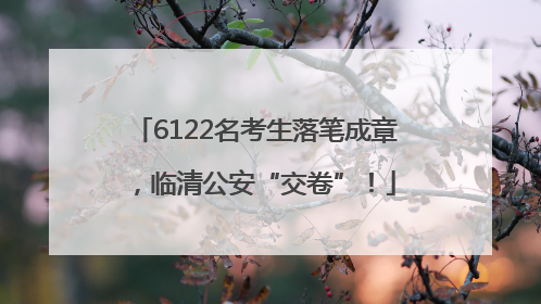 6122名考生落笔成章，临清公安“交卷”！