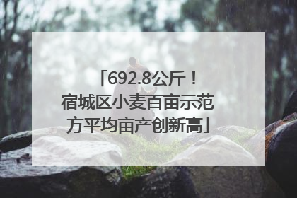 692.8公斤！宿城区小麦百亩示范方平均亩产创新高
