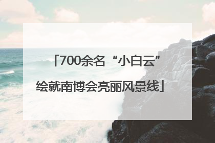 700余名“小白云”绘就南博会亮丽风景线