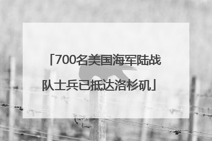 700名美国海军陆战队士兵已抵达洛杉矶