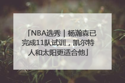 NBA选秀｜杨瀚森已完成11队试训，凯尔特人和太阳更适合他