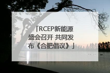 RCEP新能源盛会召开 共同发布《合肥倡议》