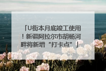 U街本月底竣工使用！新疆阿拉尔市胡杨河畔将新增“打卡点”