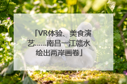VR体验、美食演艺……南昌一江赣水绘出两岸画卷